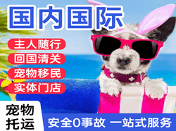 启阳航空快递国际宠物托运 【国